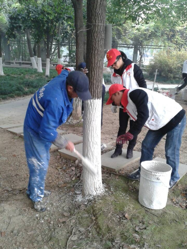 ��ʵ����Ҳ�����һ�ż������ˣ��ⲻ��԰��ʦ����ָ�����ǵĺ�����