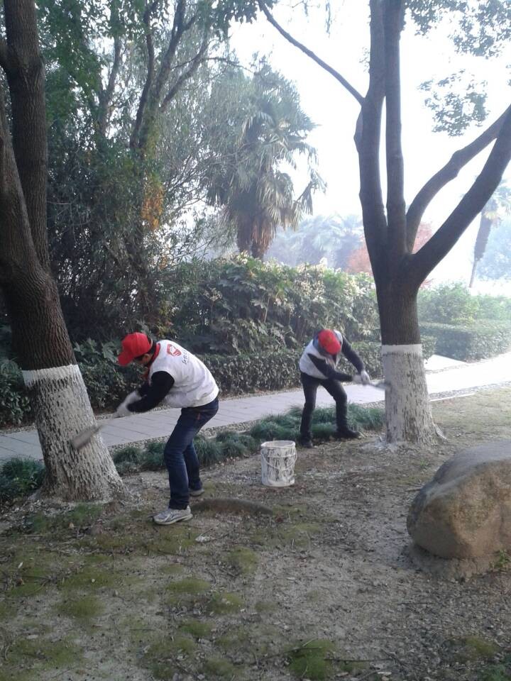 �������ޣ����Ǹ�������������