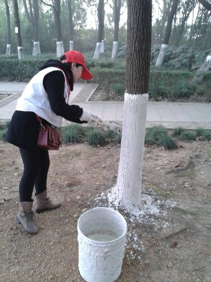 ��Ȼֻ����һ����һ�飬��Ҳ�ڹ�ʦ�����Դ����̵�