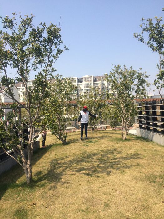 nEO_IMG_��Ƭ 092.jpg