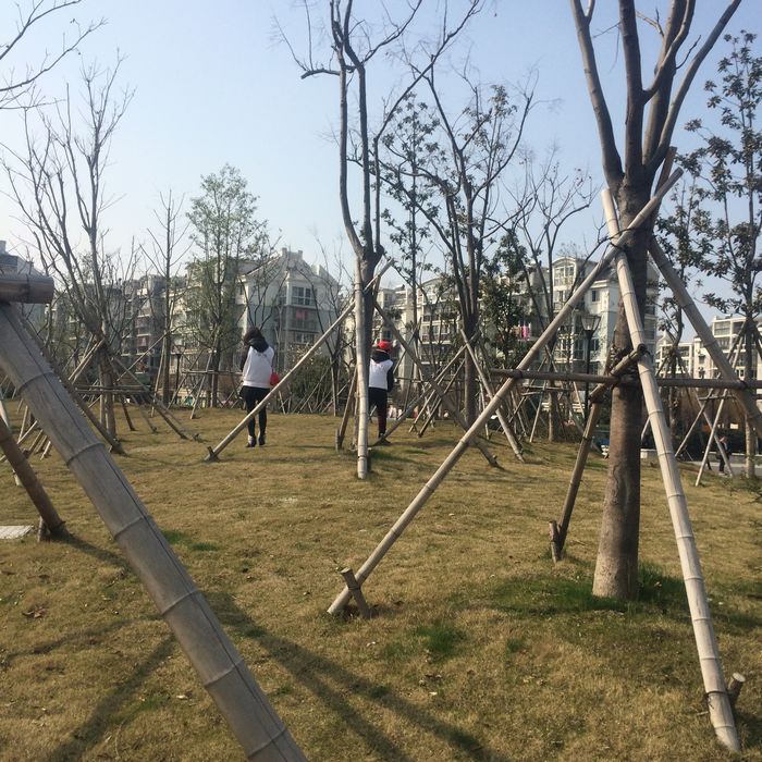 nEO_IMG_��Ƭ 109.jpg