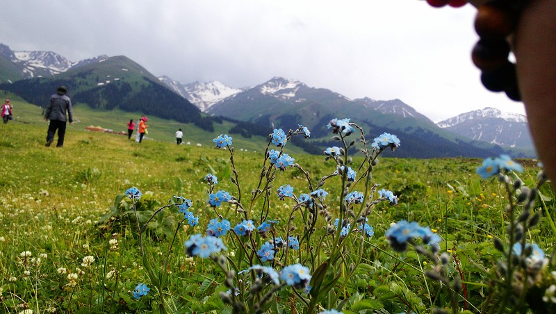 �������ԭ-��ϵ�������