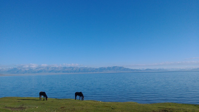 ����ľ��