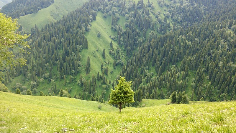 �������ԭ-�¶�����