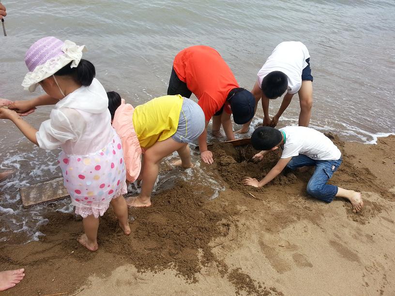 ����ɳ̲��С�����HOLD��ס��