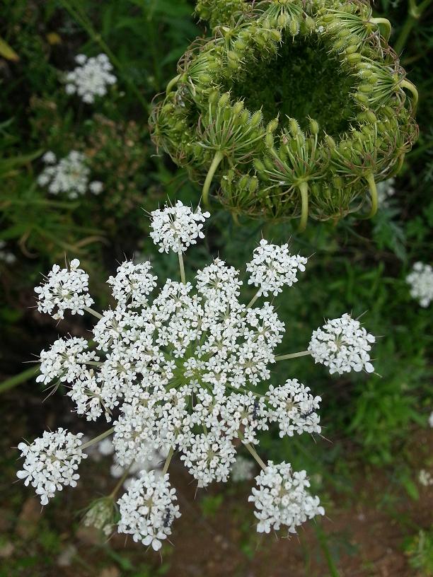 ��֪������С��