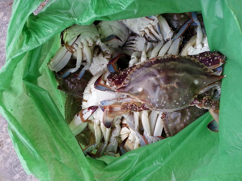 ͸�����ʵĺ���