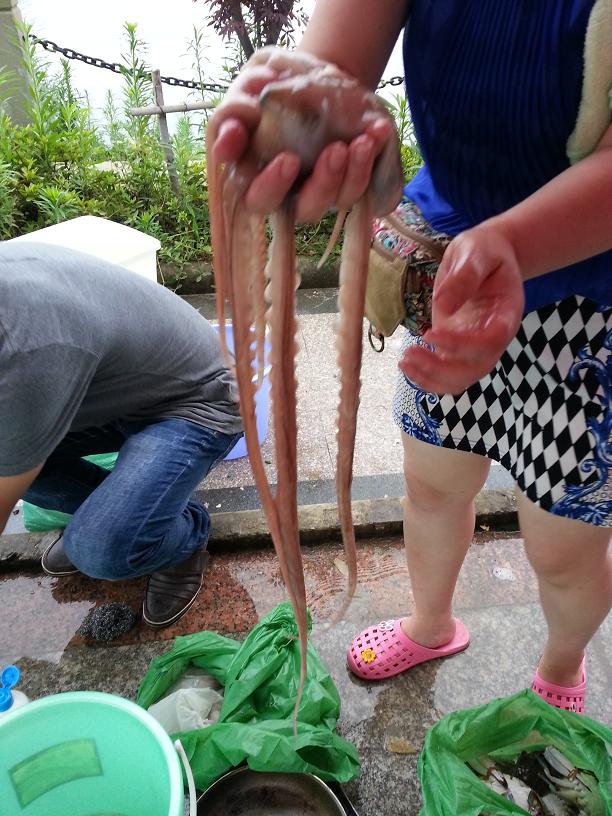 ͸�����ʵĺ���