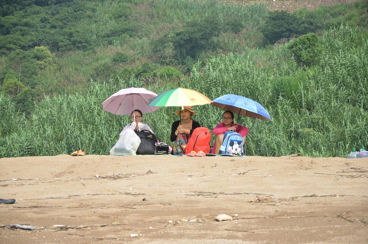 ��ɹ������