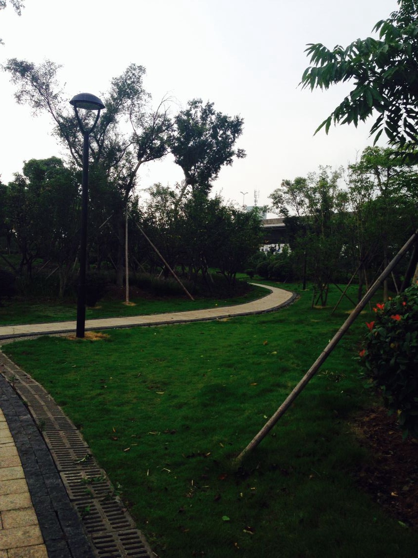 ��Ҳ�μ���