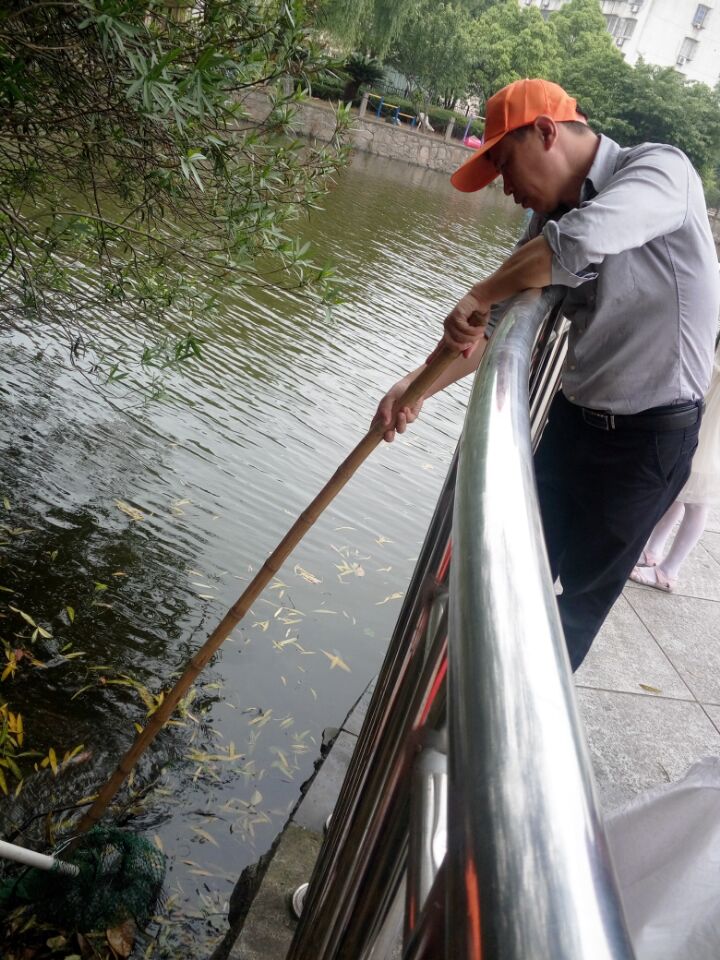 ̫�����������ޡ���׺��