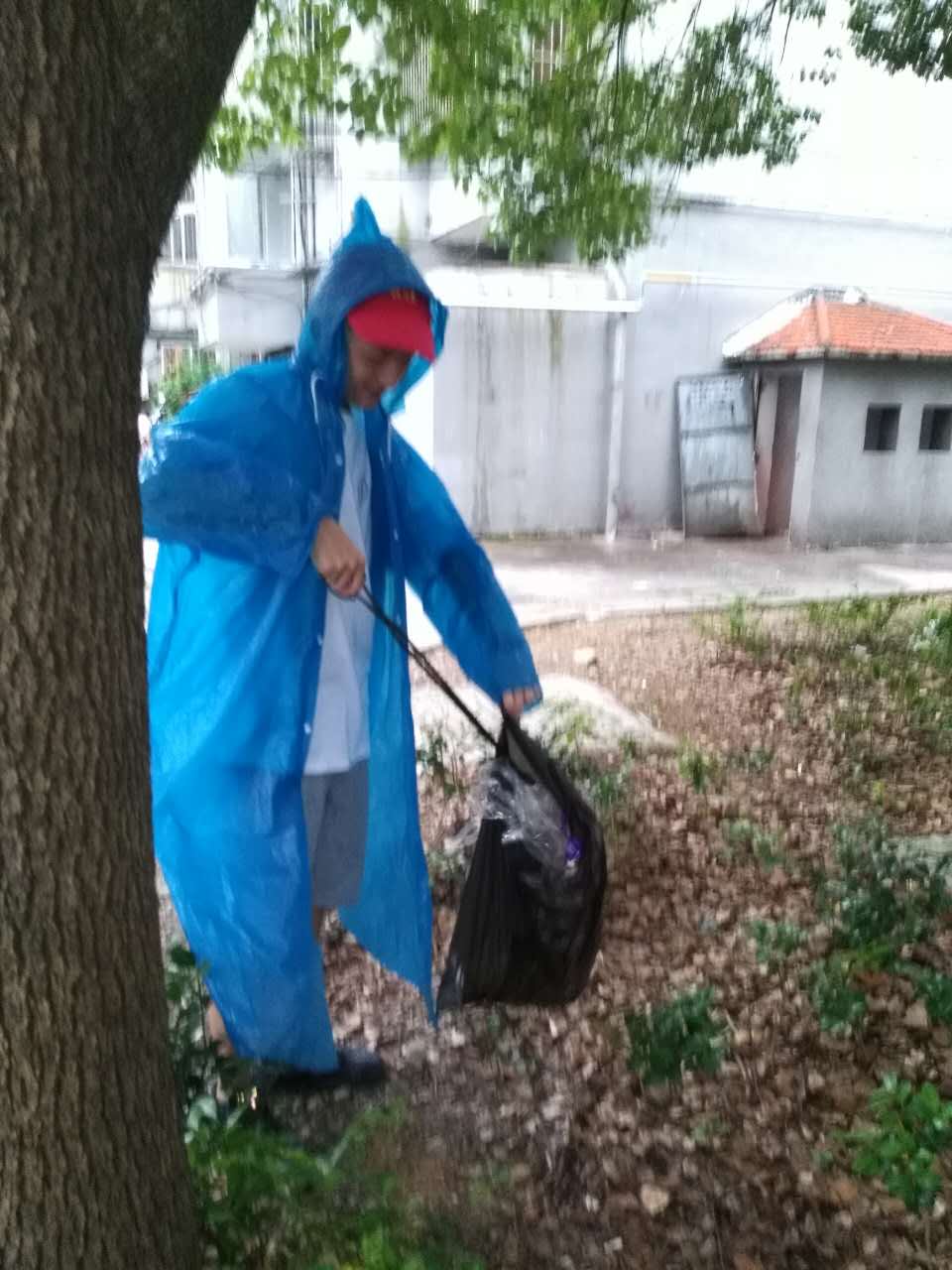 ������ɫ����