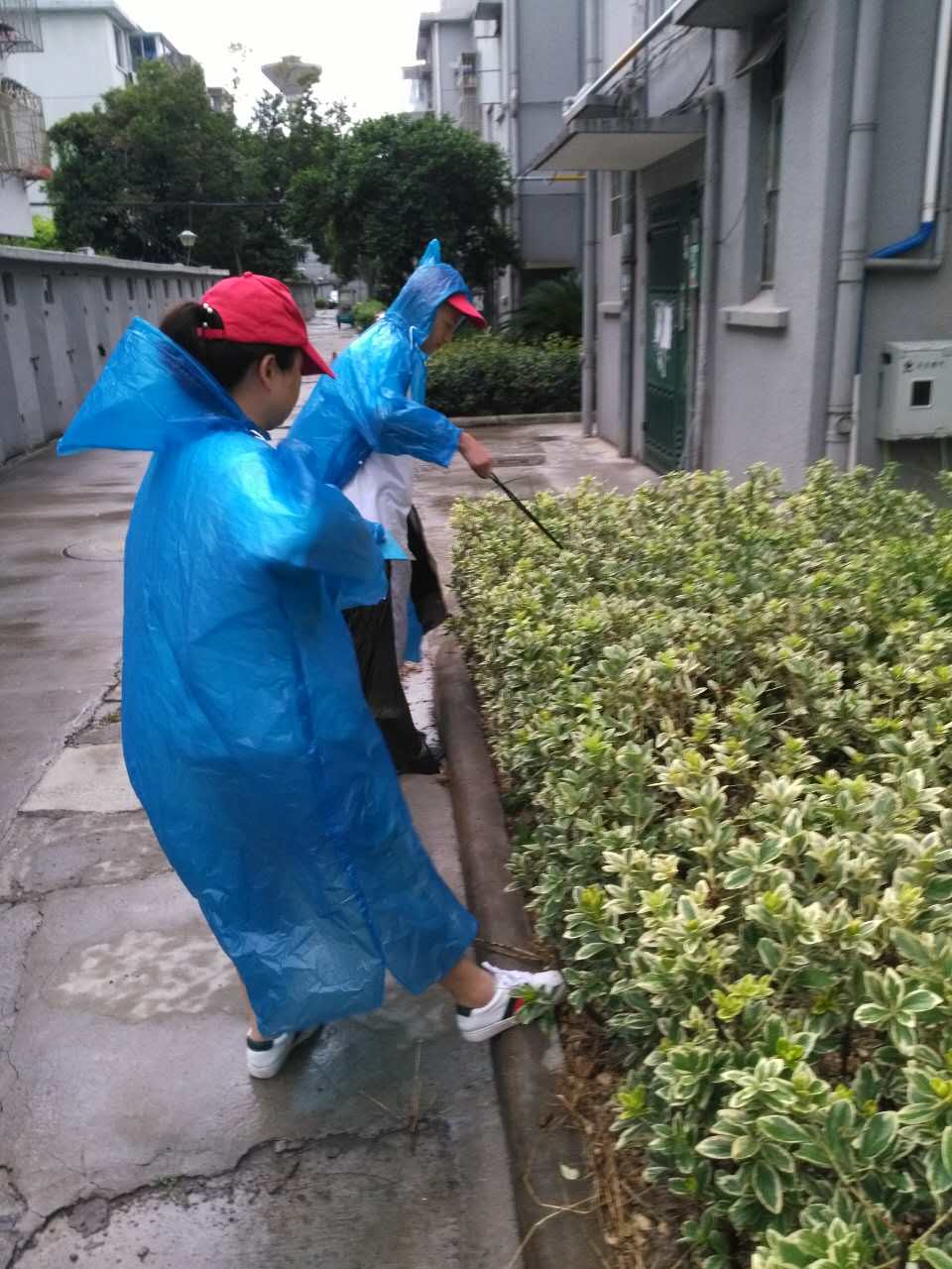 ������ɫ����