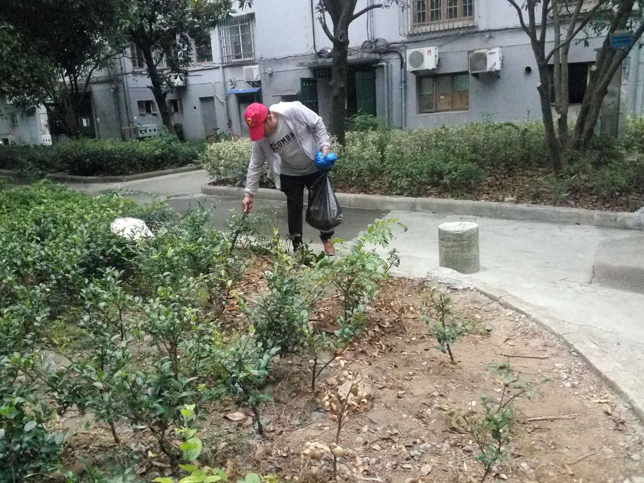 ������ɫ����