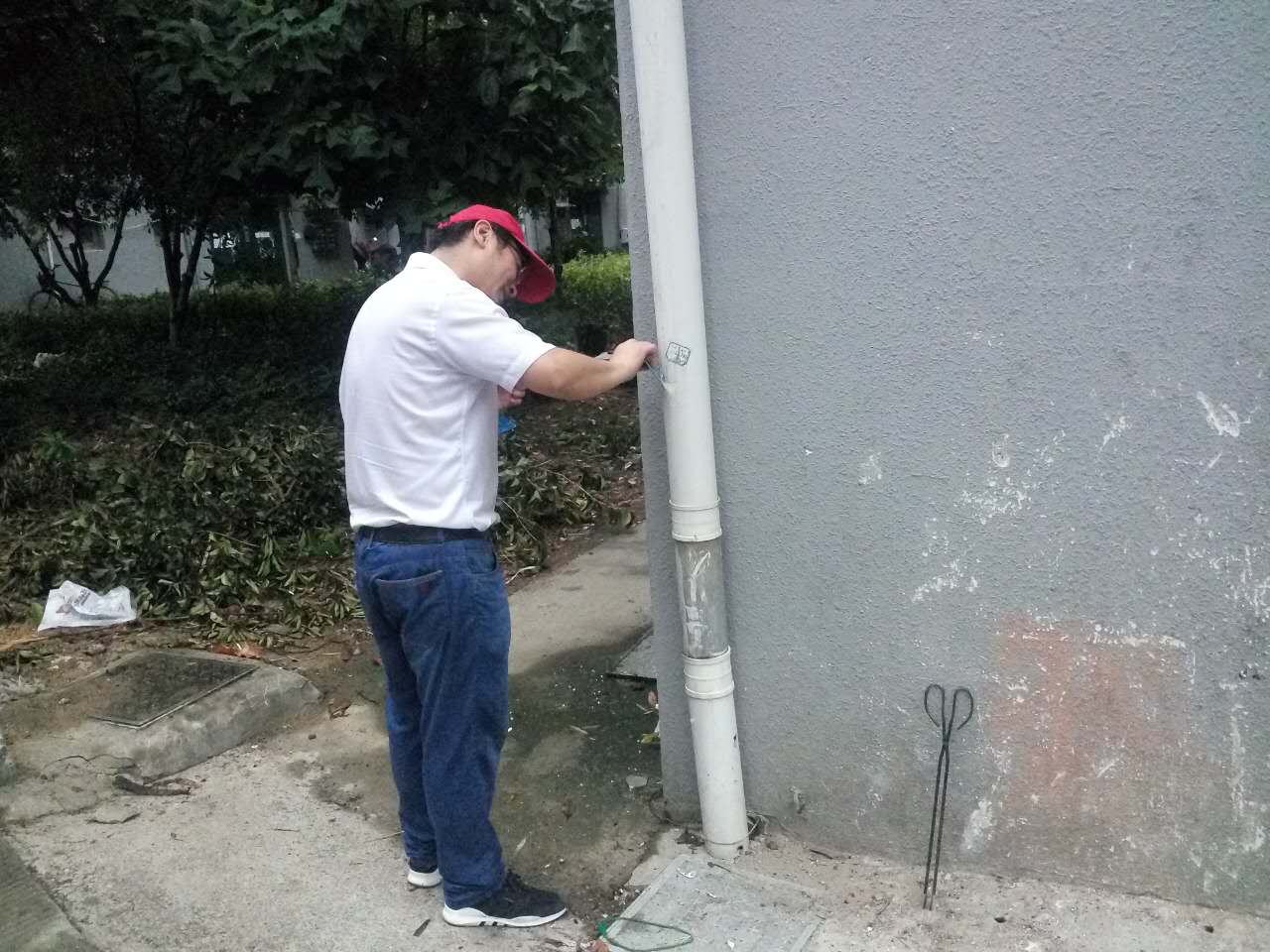 ������ţƤѢ��