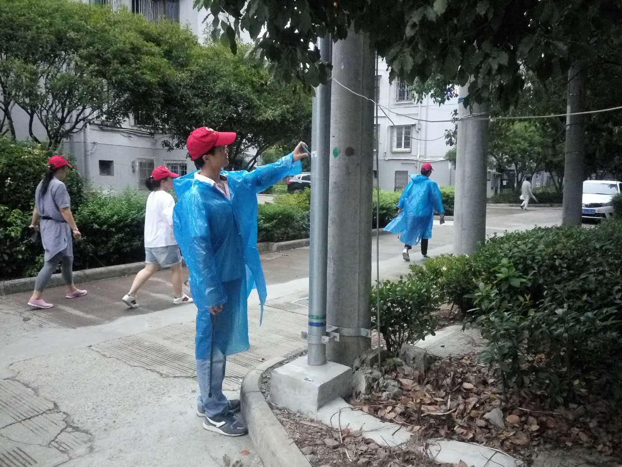 ������ţƤѢ��