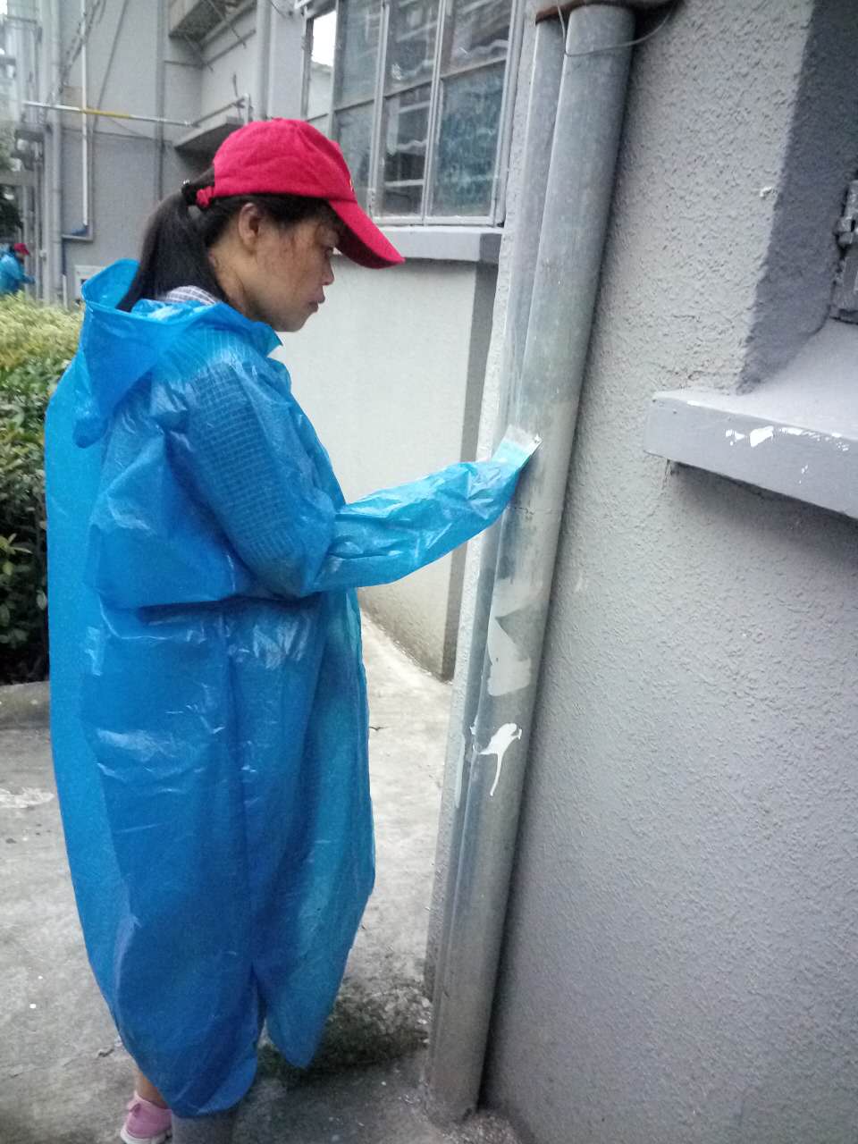 ������ţƤѢ��