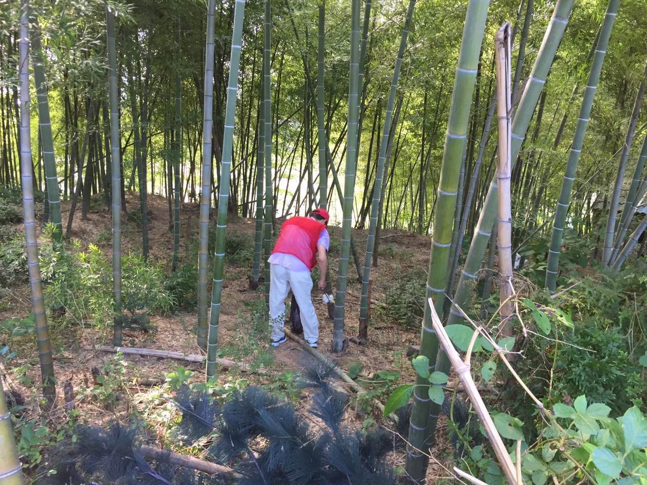 ־Ը��������ɫ����