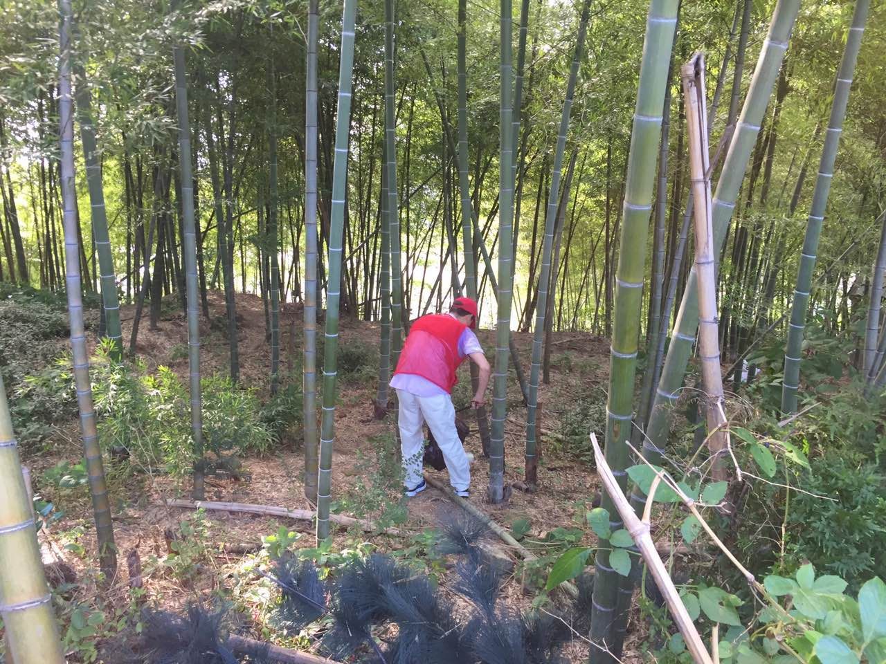 ־Ը��������ɫ����