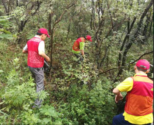 �������� 1.png