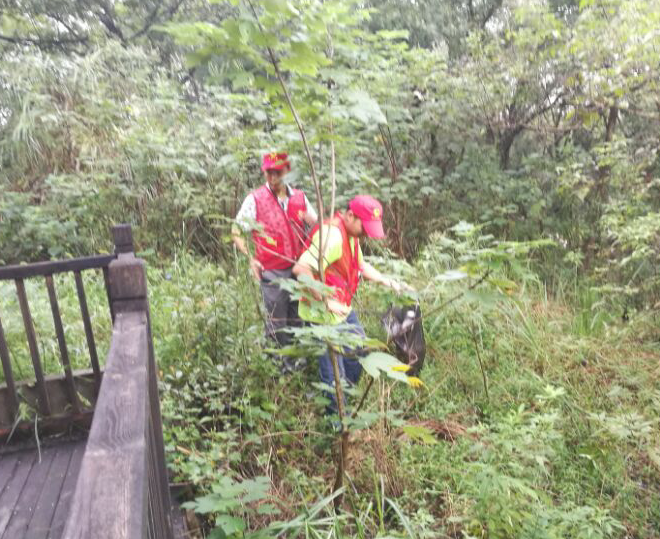 ��������  2.png