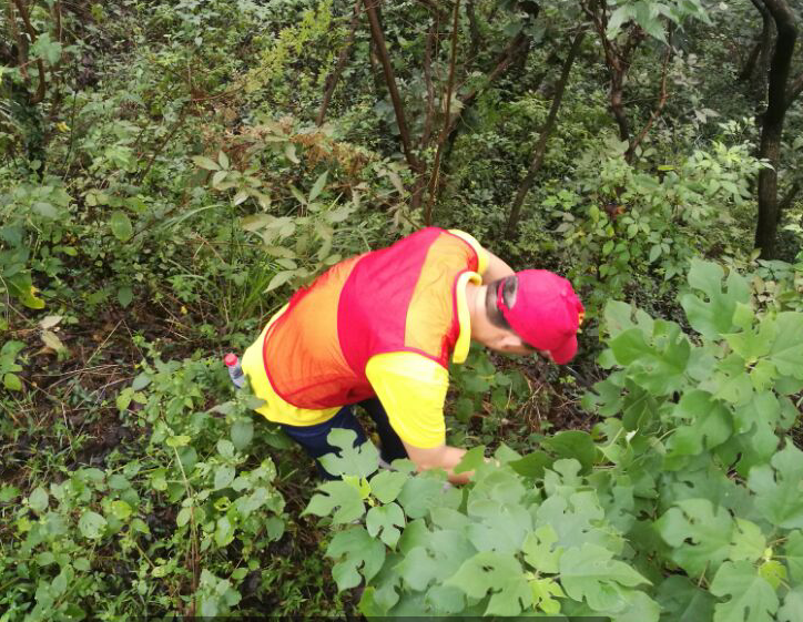 �������� 3.png