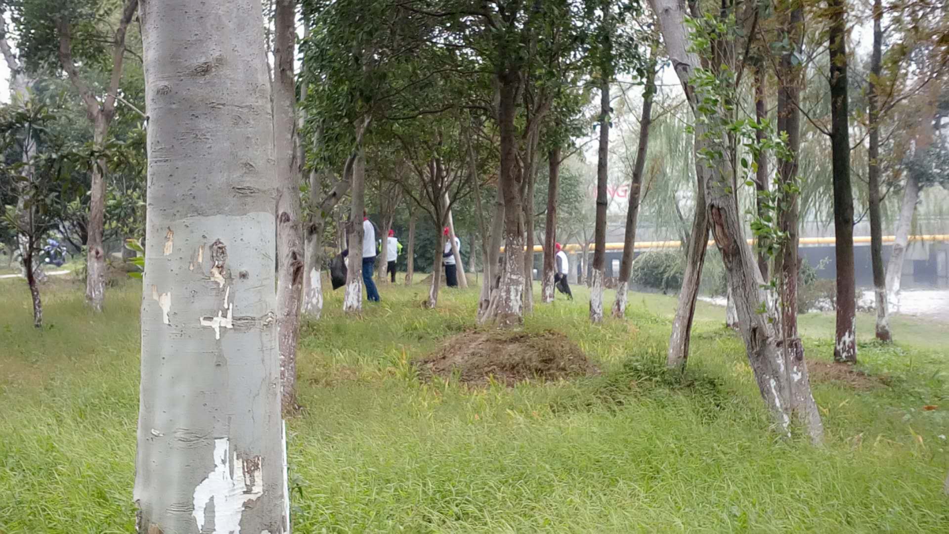 �������